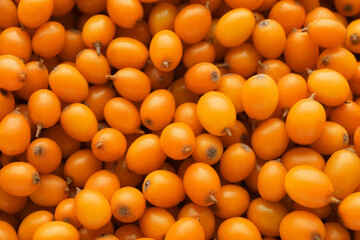 Fresh ripe sea buckthorn berries as background, top view © New Africa