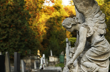Fototapeta premium Beautiful statue of angel at cemetery, space for text. Funeral ceremony