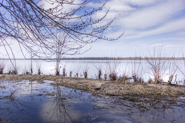 Beautiful winter landscape at the ravine Petrie Island, Ottawa