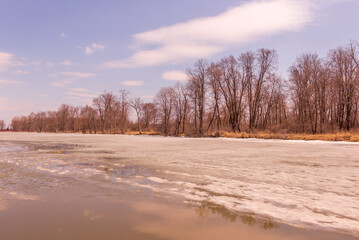 Beautiful winter landscape at the ravine Petrie Island, Ottawa