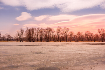 Beautiful winter landscape at the ravine Petrie Island, Ottawa