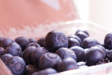 Fresh ripe blueberries berries