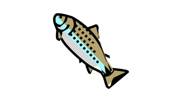 adult salmon color icon animation