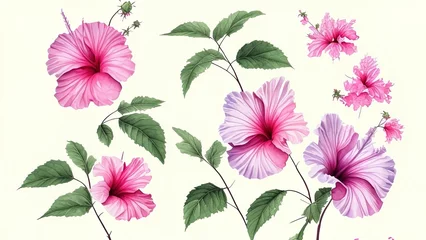 Kunstfelldecke mit Muster Tropische Pflanzen set of flowers