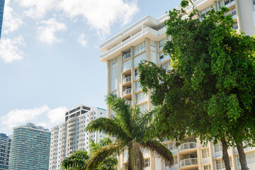 Trees at the front of condominium buildings in a row against the bright sky background in Miami, FL