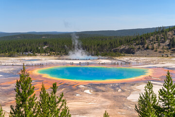 Fototapeta na wymiar View of the Grand Prismatic Spring from the new overlook in Yellowstone National Park.