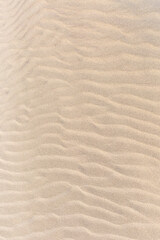 Fototapeta na wymiar sand dunes top view