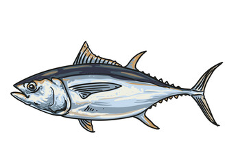 hand draw fish collection background element set vector illustration clip art