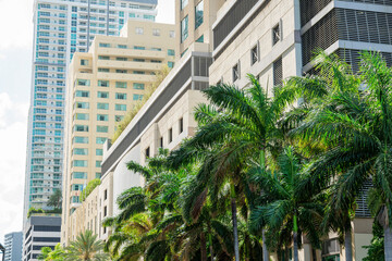 Fototapeta na wymiar Rows of modern multi-storey buildings with palm trees at the front in Miami, Florida