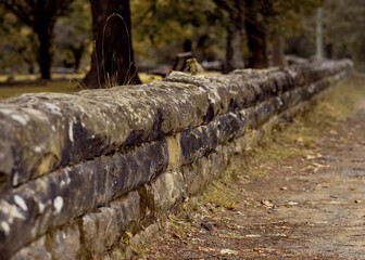 Low granite block wall. Stone wall surrounded by tall trees and grass. Muted colors. Old stone wall covered in moss and lichen 