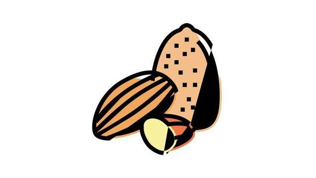 almond nut color icon animation