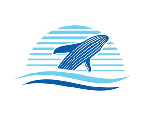 humpback whale illustration