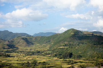 Obraz premium Terraced farms in the mountains of Ethiopia between Dessie and Kombolcha.