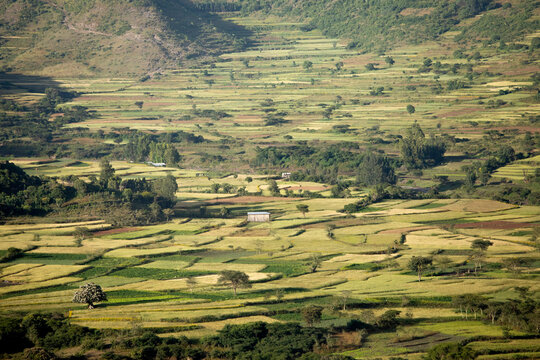 Terraced farms in the mountains of Ethiopia between Dessie and Kombolcha.