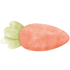 cute carrot watercolor illustration