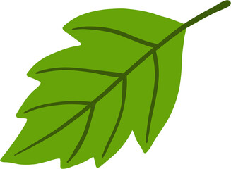 simplicity maple freehand drawing