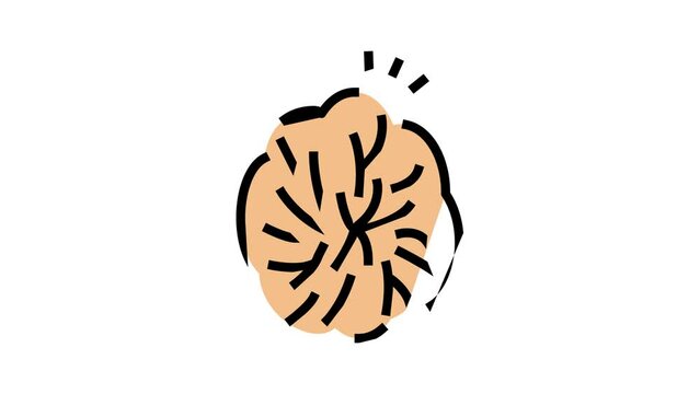 anocutaneous reflex color icon animation