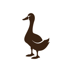 Duck logo vector