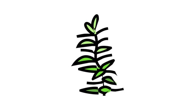 hydrophilia polyspermy color icon animation