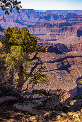 Grand Canyon Arizona South Rim near Mather Point