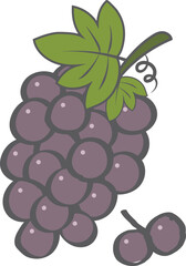 Fresh Fruit Purple Grapes with Leaves Graphic Element