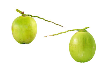 freshness coconut isolated white
