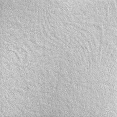Obraz premium Monochrome texture background. Image includes the effect the black and white tones. Surface looks rough. Gray printing element. Backdrop texture wall and have copy space for text.
