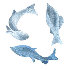 Sillhouettes salmon, trout watercolor illustration isolated on white background.