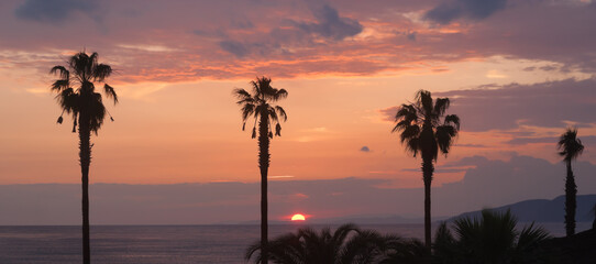Sun setting over a bay with colorful clouds and foreground palm trees