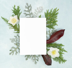 Floral flat lay with blank stationery card and fresh white hellebore, winter rose flowers and botanical elements