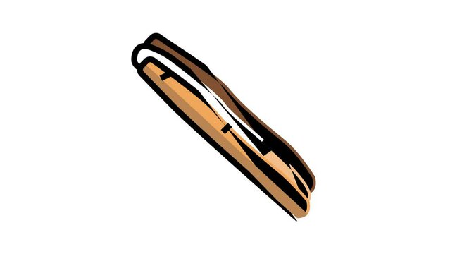 atlantic jackknife clam color icon animation