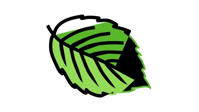 leaf blackberry plant color icon animation