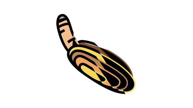 pacific razor clam color icon animation