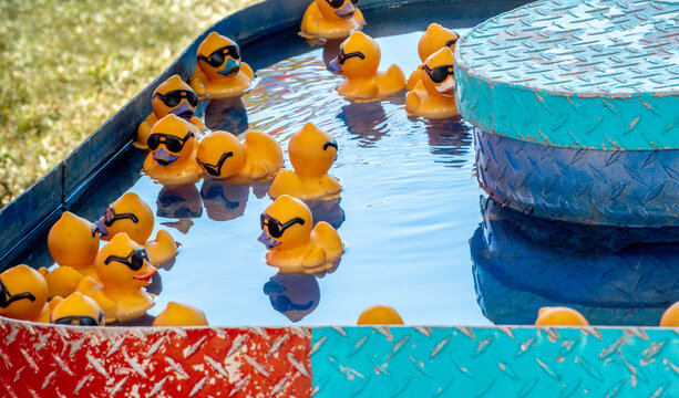 Pick A Duck Game At A County Fair. Choose A Floating Duck And The Number Underneath Gives The Child A Prize