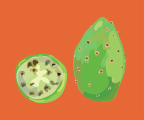  green prickly pear fruit vector illustration