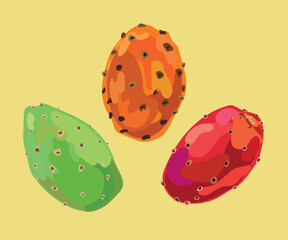 prickly pear fruit vector illustration