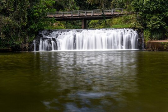 Landscape of Malanda Falls Conservation Park on the river in Australia