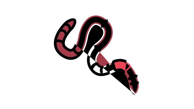 worm insect color icon animation
