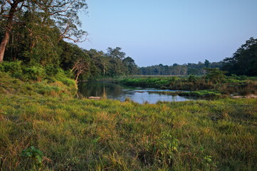 Fototapeta na wymiar Grassland and jungle in Chitwan National Park with rhino bathing in river, Nepal