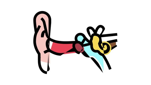 ear human organ color icon animation