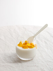 delicious dessert pudding