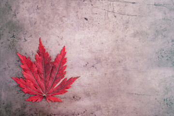 Fall color, red maple leaf on a rustic brown background
