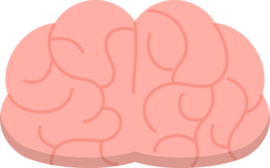 Brain human organ icon vector, anatomy and medicine