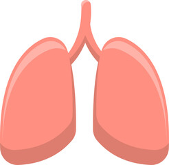 Lungs human organ icon vector, anatomy and medicine