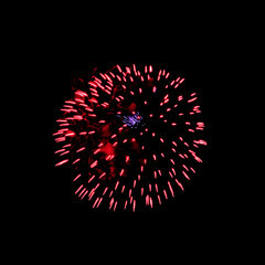 Colorful celebration fireworks isolated on black sky background.