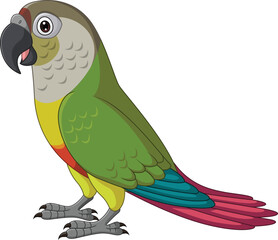 Cartoon Green Cheeked Parrot on White Background © tigatelu