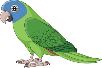 Cartoon Blue Crown Conure Parrot - 550767372