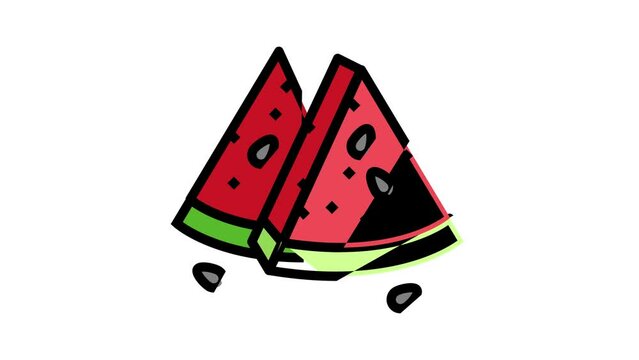 summer juicy green red watermelon color icon animation