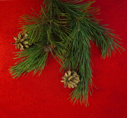 Christmas card on a red background Christmas tree sprig and balls