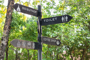 Air purifying plants for home